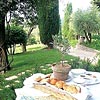 Provence'da piknik yaplr