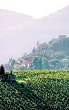 Mediciler'in şehrinde şarap sanat ve mutfak