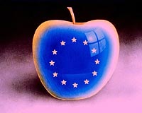 Gün boyu Avrupa Birliği özel yayını
