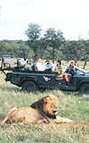 Afrika'da 4 yldzl lks safari kamplar