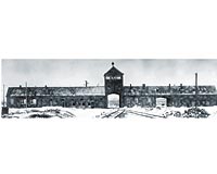 Soykrmn 60 yllk tan Auschwitz