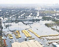 Amerika Katrina Kasrgas'yla ryasndan uyanyor