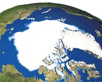 Uydu grntlerine gre Antartikadaki buz oran son yzyln en dk seviyesine ulat.