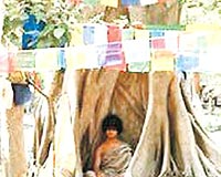KÜÇÜK BUDA Buda da bir ağaç kovuğunda inzivaya çekilmişti.