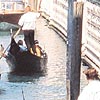 Venedik nasl kurtulur