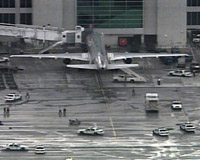 Miami Havaalan'nda pheli bir kii vuruldu