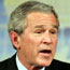 Bush: "Petrol azm"