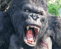 Ynetmenliini King Kong'a borlu