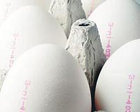 Yumurtalarn zerinde retim bilgisini ve yerini gsteren kodlar var.