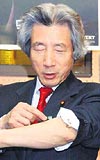 J. Koizumi
