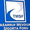 TMSF'den 5 yeni ihale