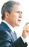 Bushun tahmini geliri 619 bin dolar oldu