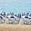 Antalya otelleri turist yolu gzlyor