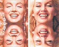 Marilyn Monroe - Sherrie Lea Laird 