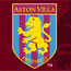Aston Villa 62.6 milyon Sterline ABD'li iadamna satld