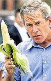 Gaflaryla tannan Bakan George Bush, bir msr i yiyerek alay konusu olmutu.