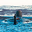 Çin denizaltısından ABD gemisine taciz