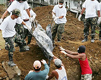 Filipinler'de tayfun: 388 ölü