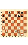 Kasparov (2):  'Kramnik Meksika'da oynamayacak!'