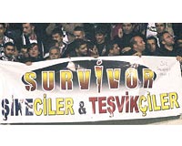 FENER VE CMBOMA TA! Beikta taraftar at Survivor ikeciler & Tevikiler pankartyla, ezeli rakipleri Fenerbahe ve Galatasaraya ta att!