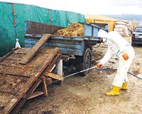 stanbul Bykehir Belediyesi Salk leri Mdrlnden yetkililer, alanda dezenfekte almas yaptrd.