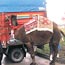 THY'nin deve kesilen RJ uaklar Avrupa'da kap kap kiraland