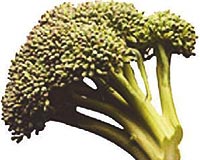 Brokoli bir mucizedir