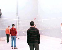 Elmada�da ku�lar can yolda��