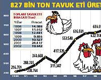 T�rk pilici AB kap�s�nda