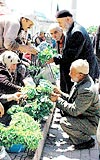 Hatuniye �ar��s�'n� erkek sat�c�lar kapt�