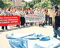 Hayvan Haklar Yasas'na protesto