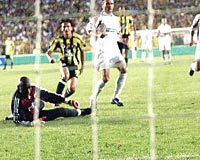 Gol Krall