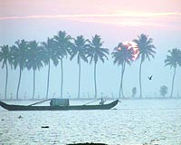 Kerala'da tekne seyahati