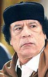 M. Kaddafi