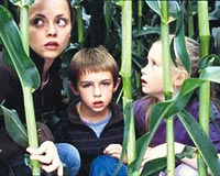 Tan�d�k y�zler (Cathering)