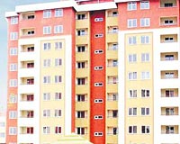 Kurtk�y'de 160 dairelik 'ekol'