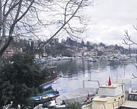 Abramovi�'in �stinye'deki g�zdesi 'Aslanl� K��k'