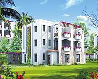 Bodrum Alesta'da ya�am ba�l�yor