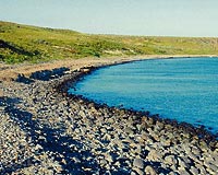 T�rkiye'de ada alman�n bedeli en az 5 milyon $