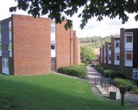 Sussex �niversitesi/�ngiltere