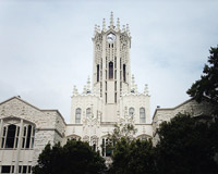 Auckland �niversitesi/Yeni Zelanda